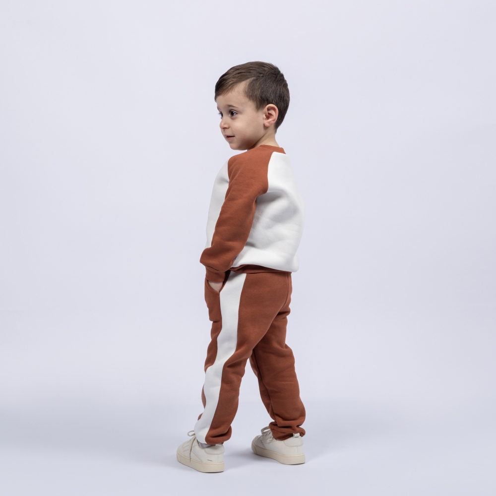 314-Ш. Свитшот + Штаны, шоколад, хлопок 65%, 35% ПЭ, 3-х нитка (начес) 80,86,92,98,104